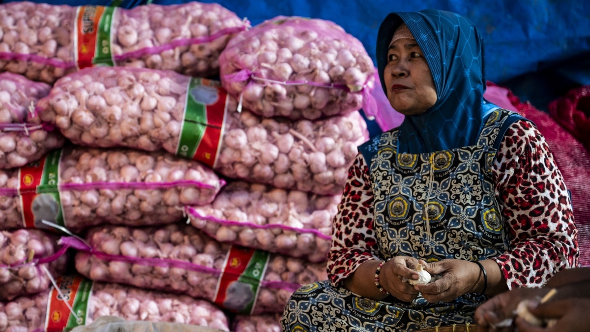 Harga Bawang Putih Naik, Mendagri Bunyikan Alarm Inflasi