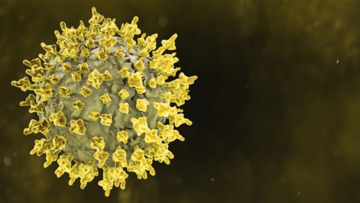 Waspada! Ancaman Ebola Selevel Awal Pandemi Covid-19