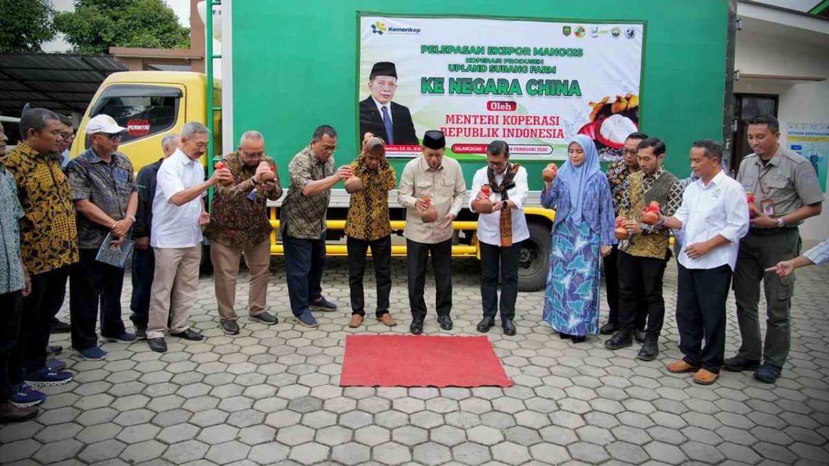 Manggis Subang Tembus China, LPDB Koperasi Siap Perkuat Pembiayaan Hingga Rp20 Miliar