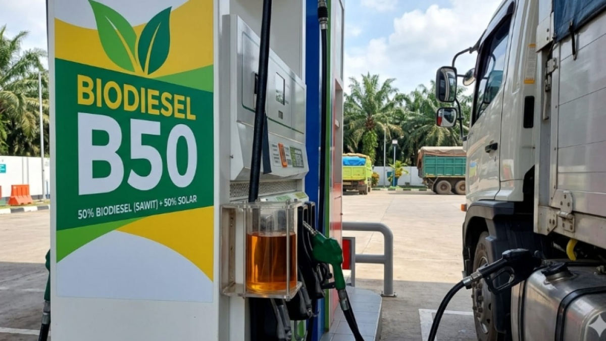 Waspada! Mandatori B50 Bayangi Kelangkaan Minyak Goreng, Rakyat Jadi Korban?