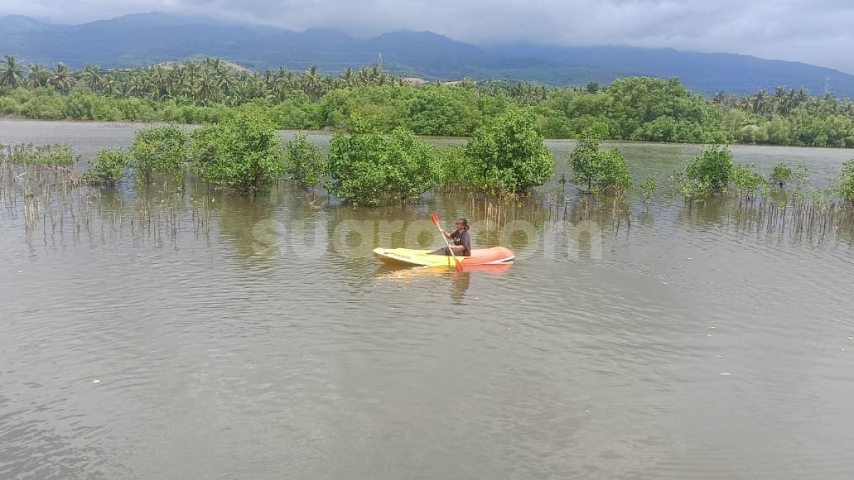 Emiten BCIC Sulap Tabungan Nasabah Jadi Aksi Konservasi Mangrove dan Laut