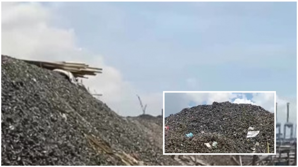 Atasi Sampah Cilincing, Pemprov DKI Bakal 'Sulap' Limbah Kerang Jadi Material WC