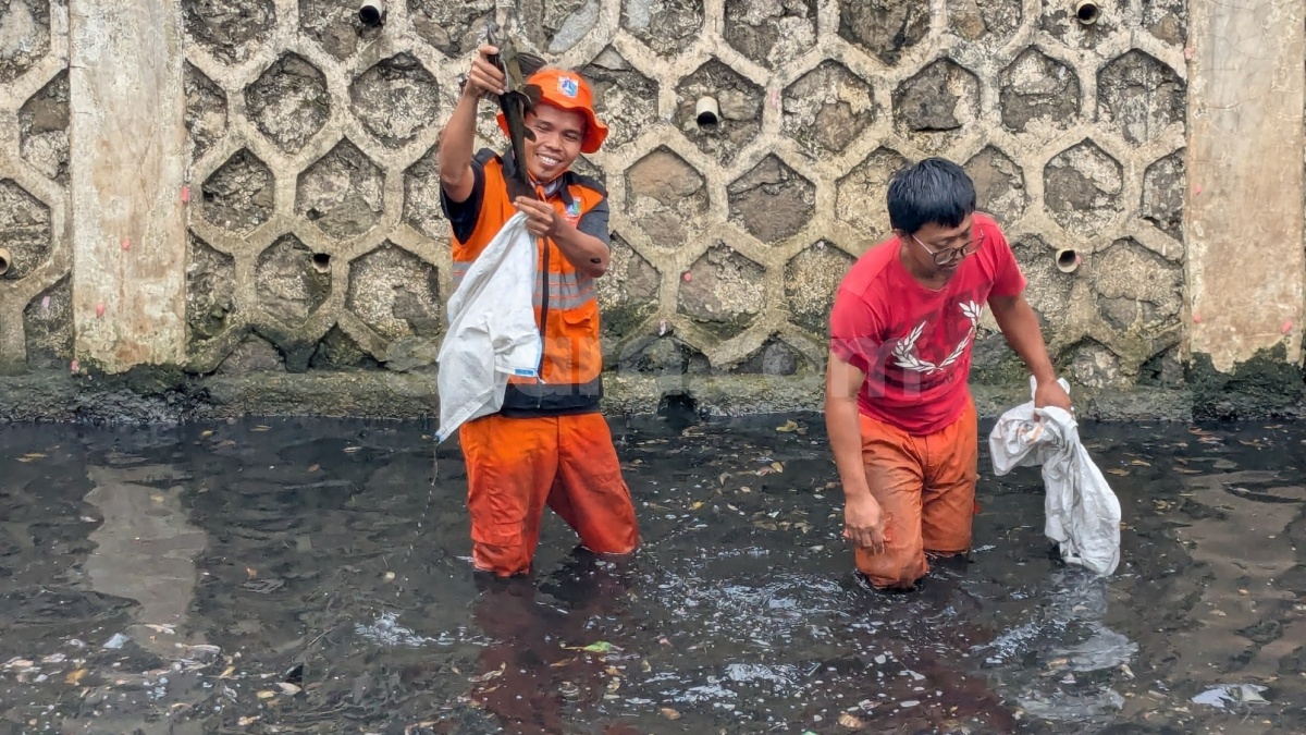 Viral Pemusnahan Ikan Sapu-sapu di Jakarta, Bolehkah Mengubur Hewan Hidup-hidup Menurut Islam?