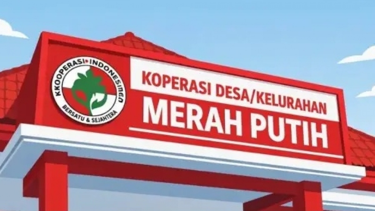 Koperasi Merah Putih Disorot, Isi Rak Barang Terlihat Sepi dan Renggang