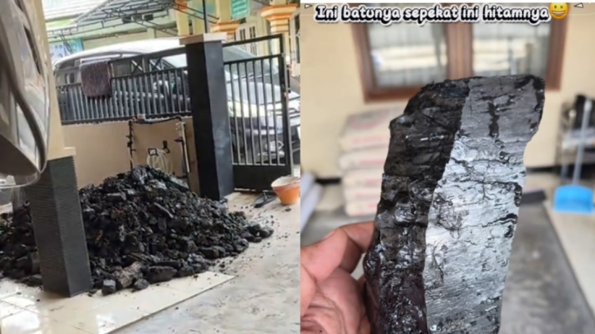 Niat Gali Septic Tank, Warga Kalimantan Justru Temukan Tambang Batu Bara di Teras Rumah