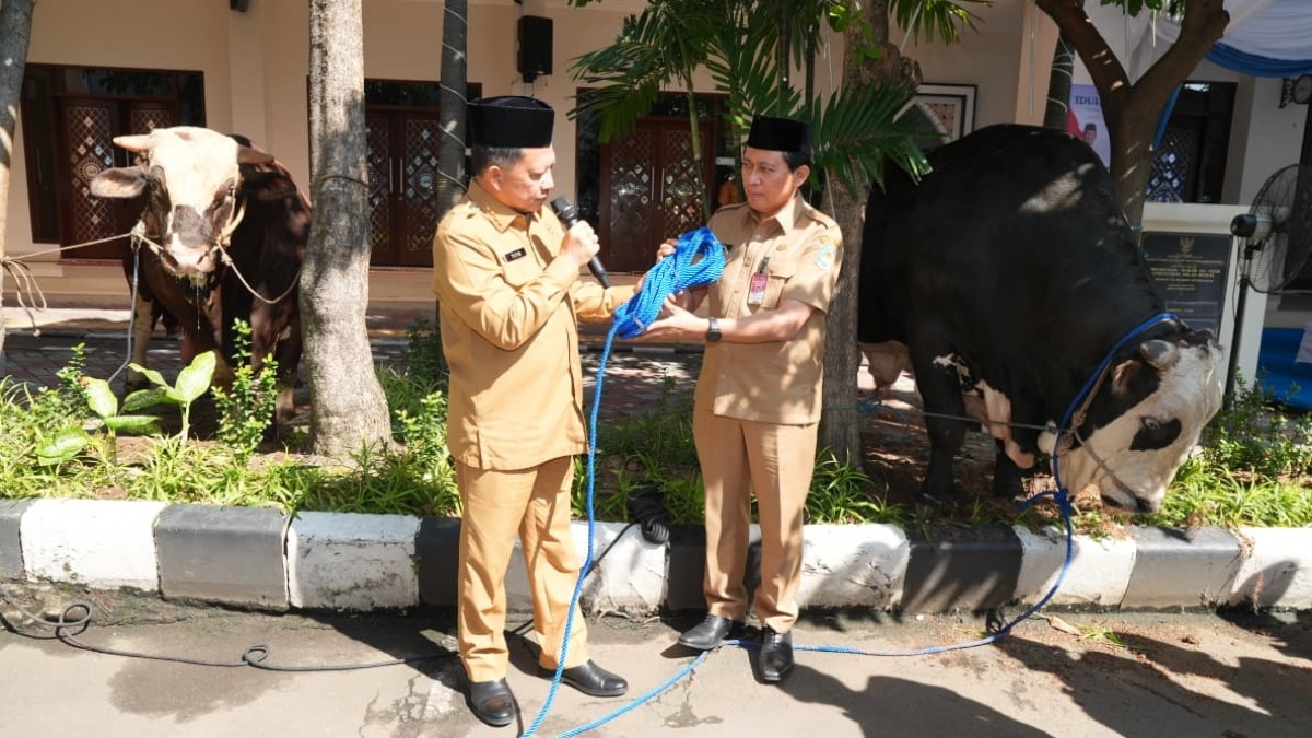 Mendagri Serahkan Hewan Kurban Kemendagri dan BNPP, Bentuk Kepedulian Sosial Kepada Masyarakat