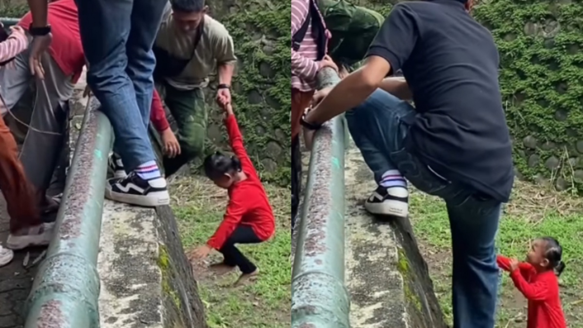 Bikin Jantung Deg-degan! Anak Kecil Nyemplung ke Kandang Gajah Saat Liburan