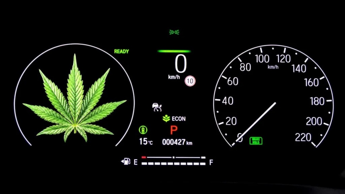Negara Ini Siapkan Aturan yang Perbolehkan Berkendara Dalam Pengaruh Ganja Medis