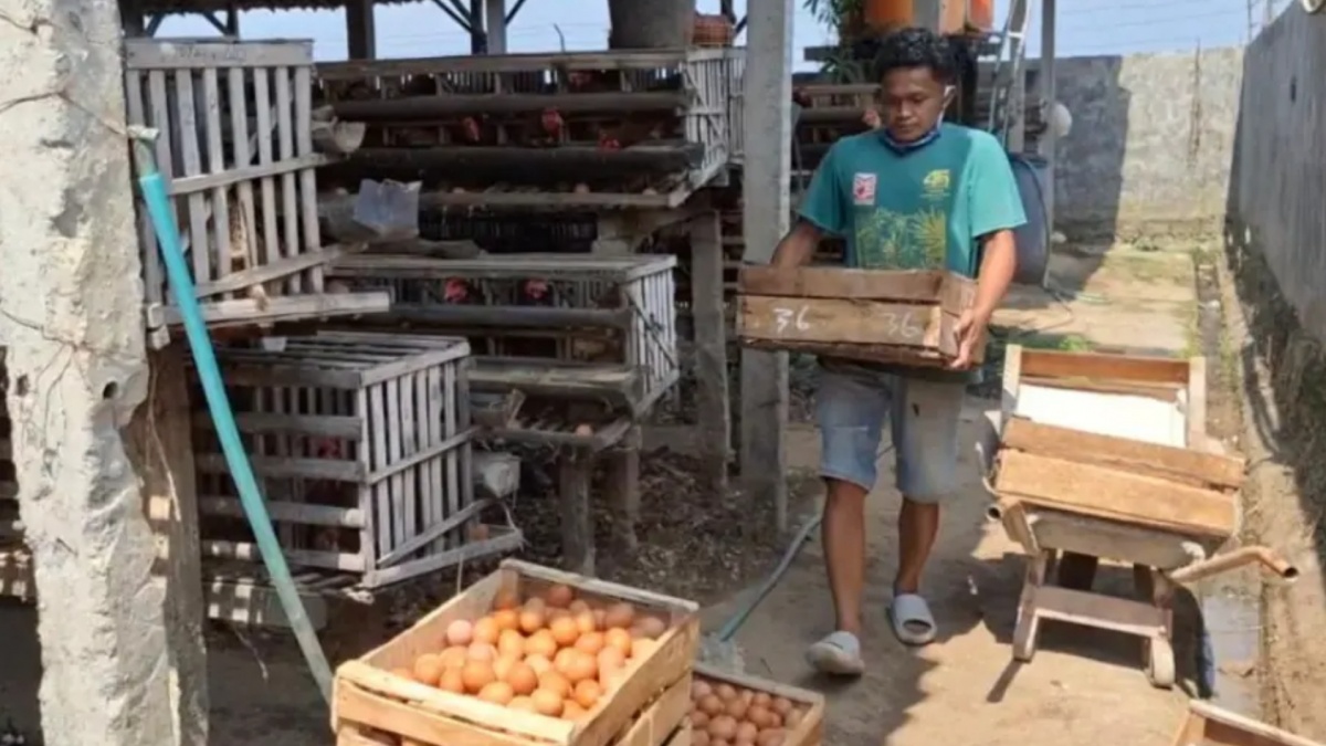 Waspada! Harga Cabai Rawit Merah dan Telur Ayam Melejit, Sinyal Tekanan Inflasi Pangan Nasional