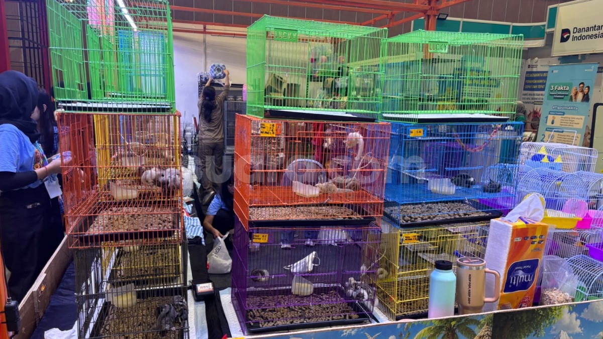 Pet Lovers Merapat! Pameran Ini Hadirkan Ragam Aktivitas Edukasi hingga Kebutuhan Hewan Peliharaan