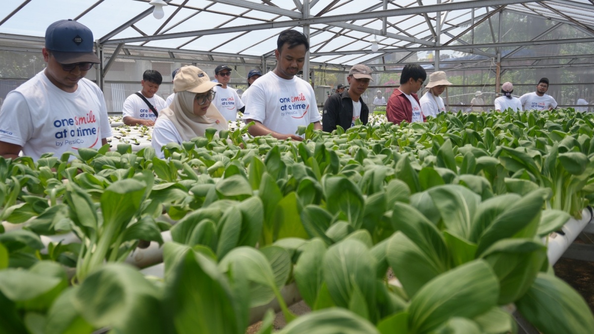 Ketika Ketahanan Pangan Dimulai dari Kebun Warga hingga Dapur Keluarga