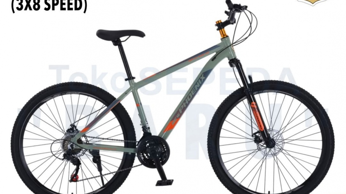 5 Rekomendasi Sepeda Gunung Phoenix Terlaris Manis di Shopee