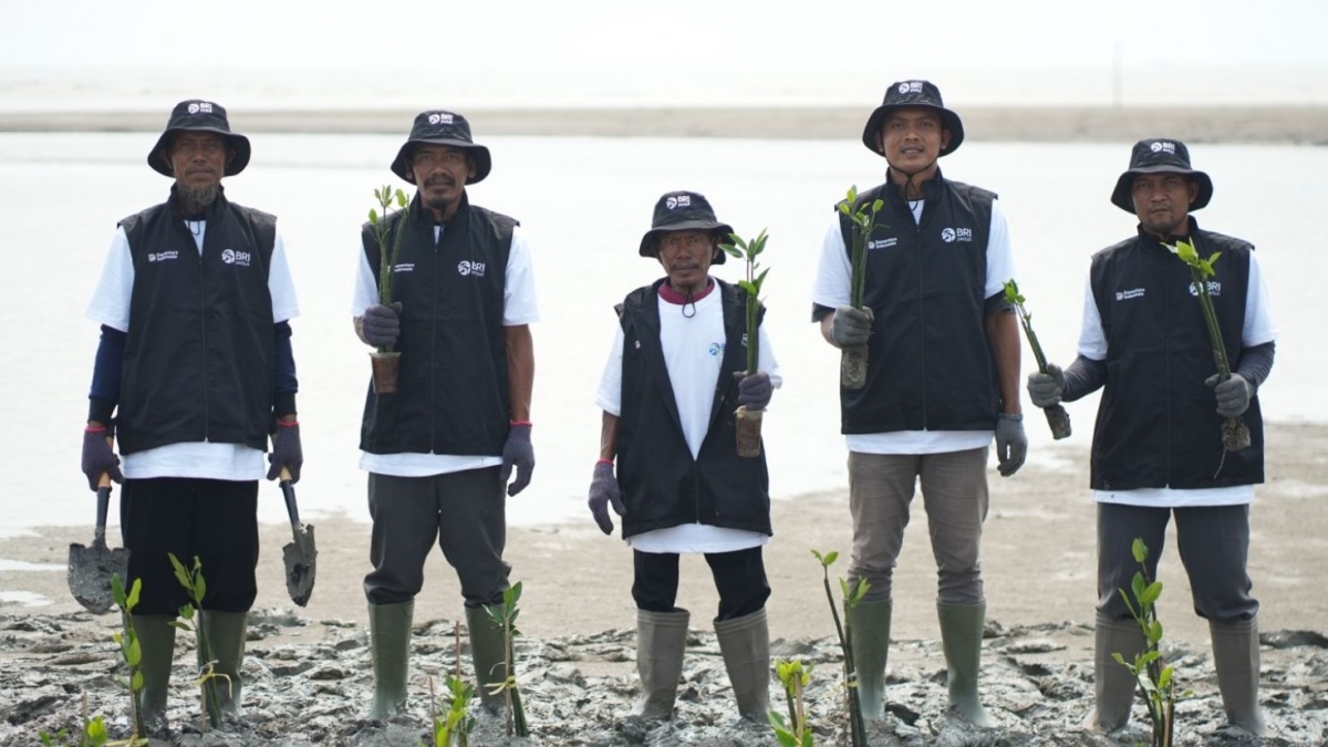 Hari Mangrove Sedunia, BRI Peduli Libatkan Kelompok Tani Lokal untuk Pulihkan Ekosistem Pesisir
