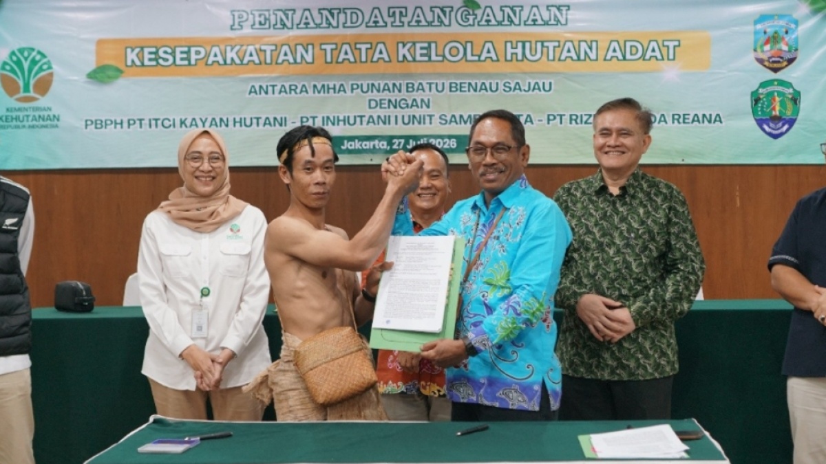 Mengapa Penetapan Hutan Adat Menjadi Penentu Masa Depan Punan Batu?