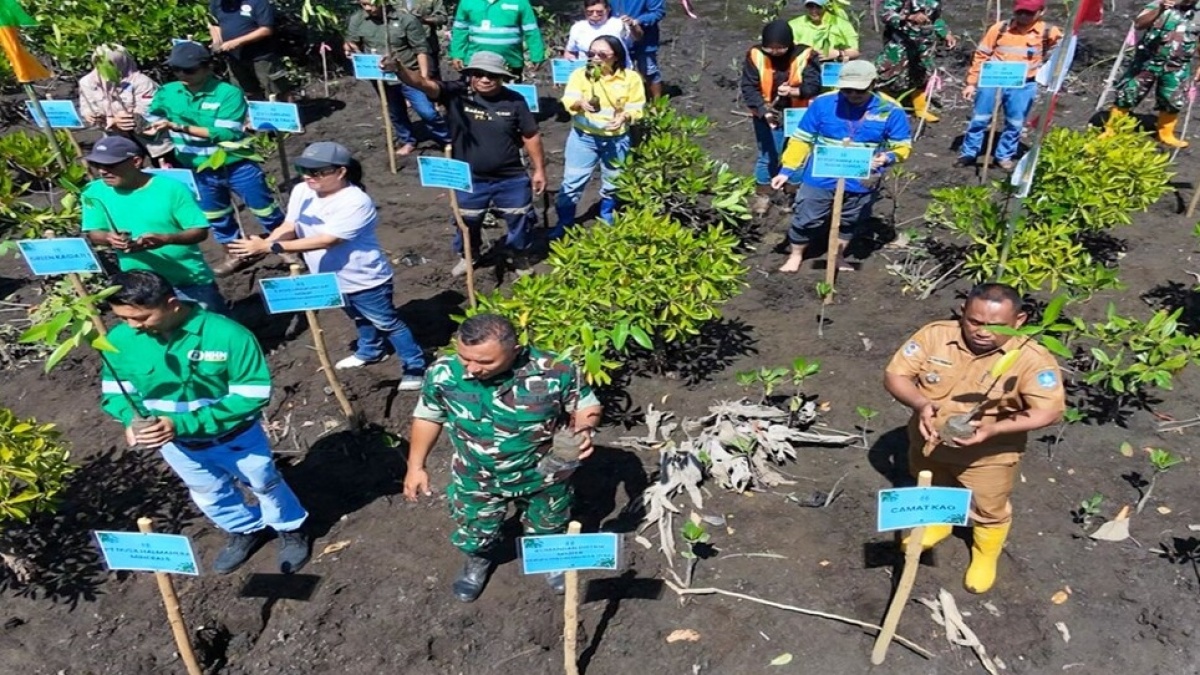 NHM Perkuat Agenda ESG melalui Konservasi Mangrove dan Penguatan Ekonomi Komunitas Pesisir