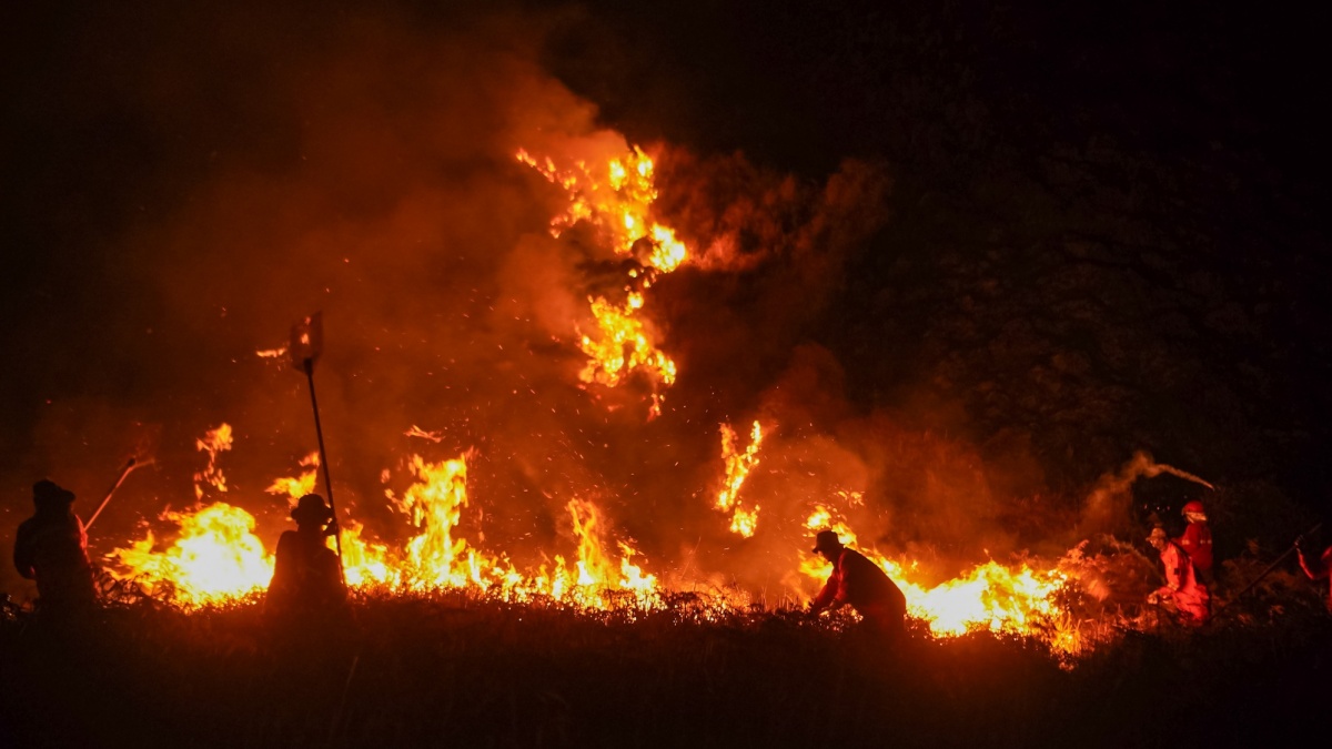 4 Orang Tewas Terjebak Karhutla Bromo, Dua Korban Luka Bakar Jalani Operasi