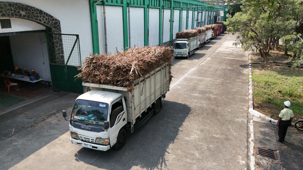 Kuota Gula Industri Turun dari 3,3 Juta Jadi 3 Juta, Gapmmi Sebut Tak Ada Buffer Stock