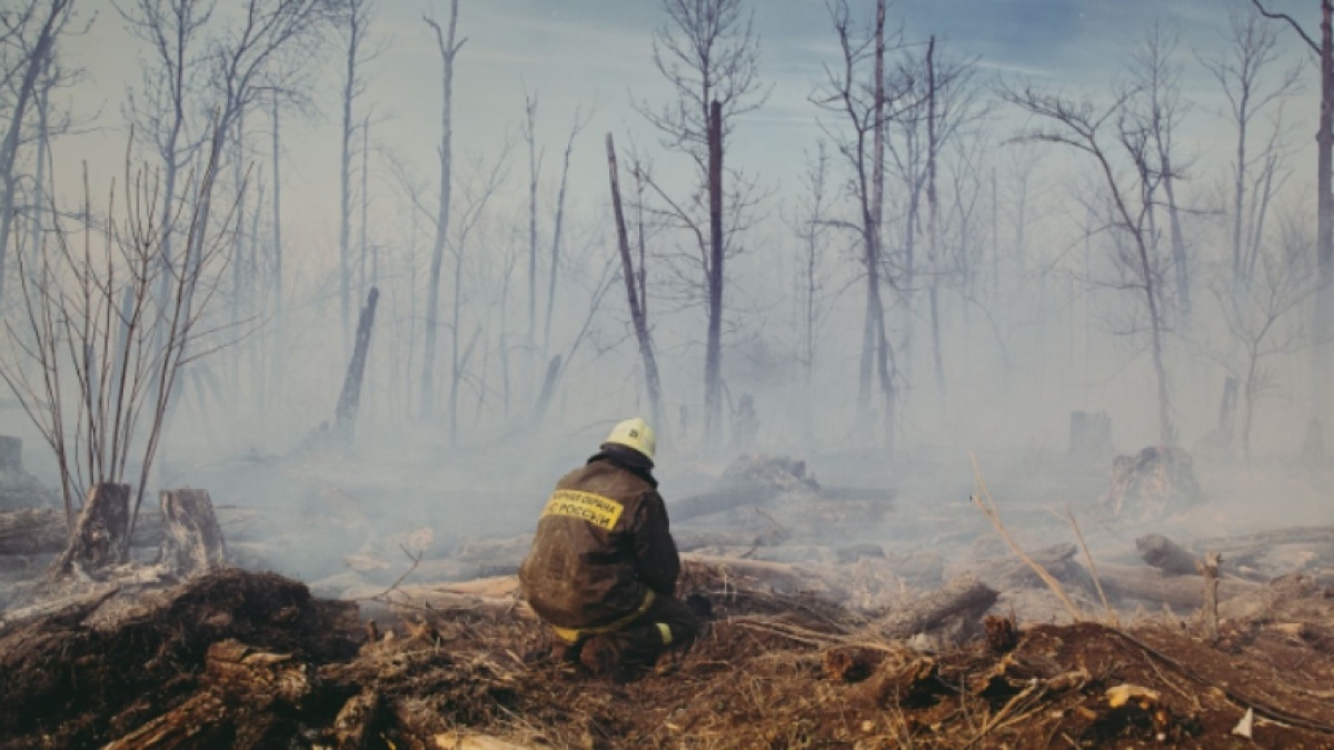 Apa itu ASEAN Agreement on Transboundary Haze Pollution untuk Solusi Kebakaran Hutan Kalimantan?