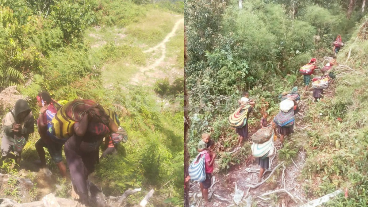 Ketakutan Diserbu TNI, Warga 4 Kampung di Intan Jaya Terpaksa Mengungsi ke Hutan