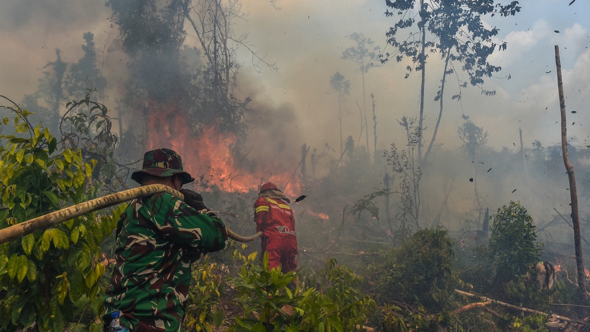 Kabut Asap Karhutla Kalimantan Ganggu Negara Tetangga, Mensesneg Bilang Begini