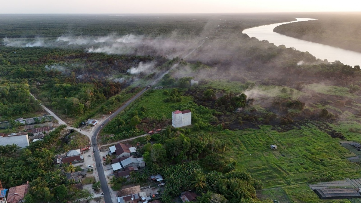 Persoalan Karhutla di Kalimantan, Pakar Kehutanan: Jangan Bikin Panik Masyarakat