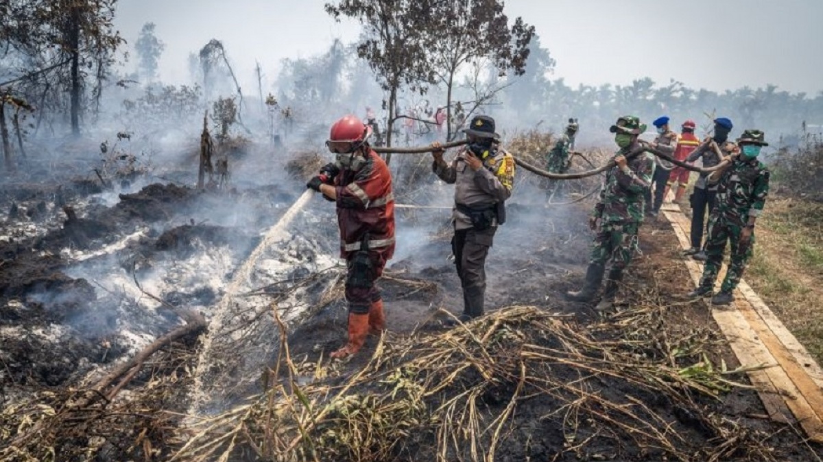 Sumbar Dikepung Asap Karhutla dari Jambi dan Riau! Warga Diimbau Pakai Masker Demi Kesehatan