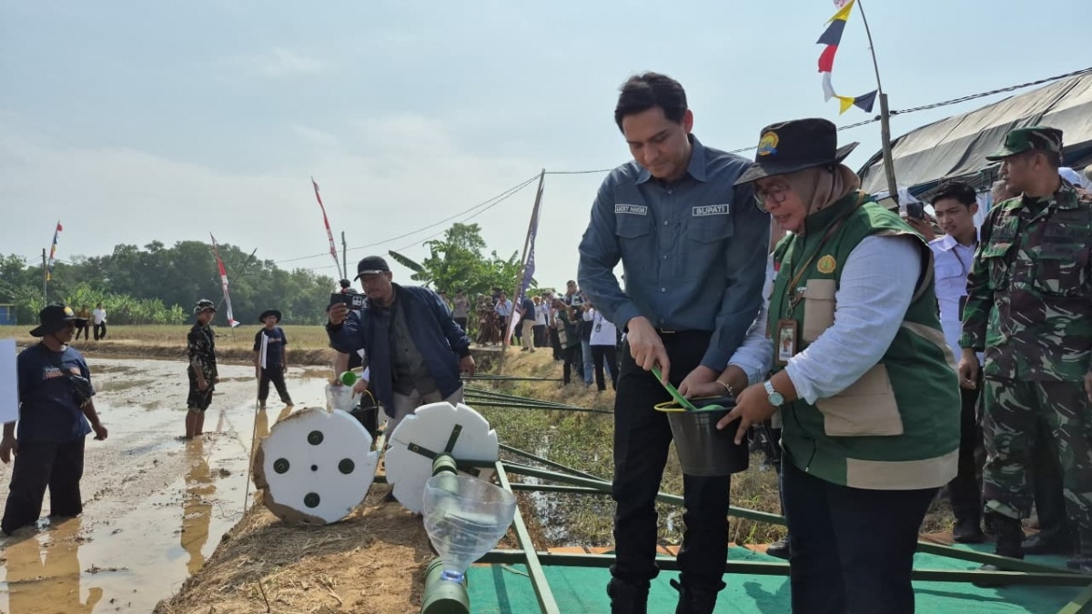 Sukses Lipat Gandakan Hasil Panen, Lucky Hakim Bongkar Kunci Sukses Pertanian Indramayu