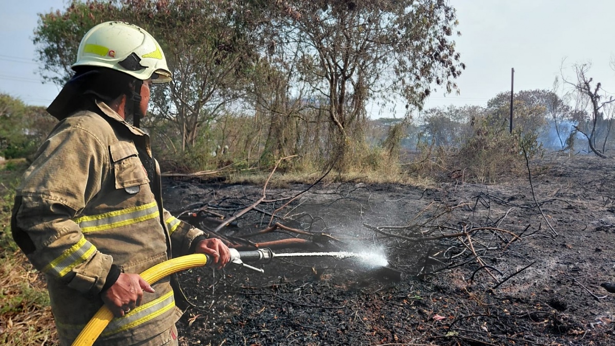 30 Hektare Lahan di Rorotan Ludes Terbakar, Diduga Sengaja Dibakar Orang