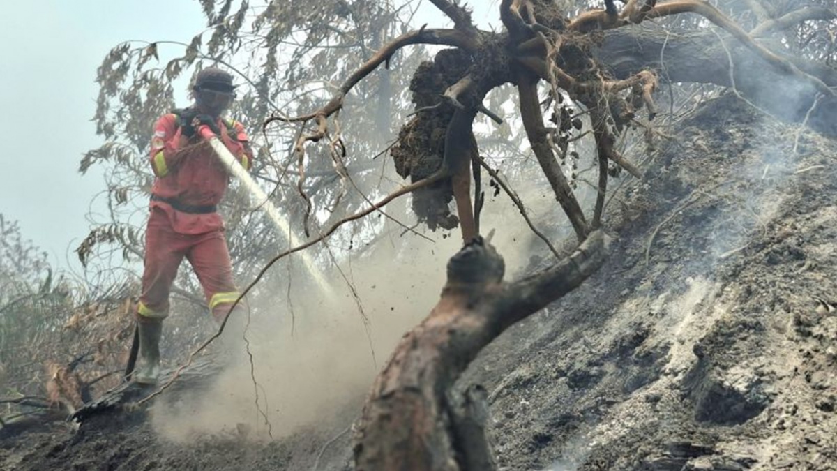 Update Karhutla Riau: Siak Tuntas, Kerumutan 4 Hari Tanpa Titik Api