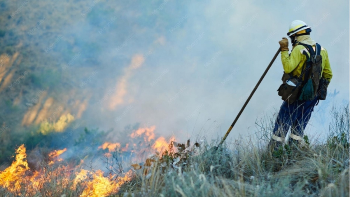 248 Hektare Lahan Sumut Terbakar Dalam 8 Bulan! Terparah Labuhanbatu