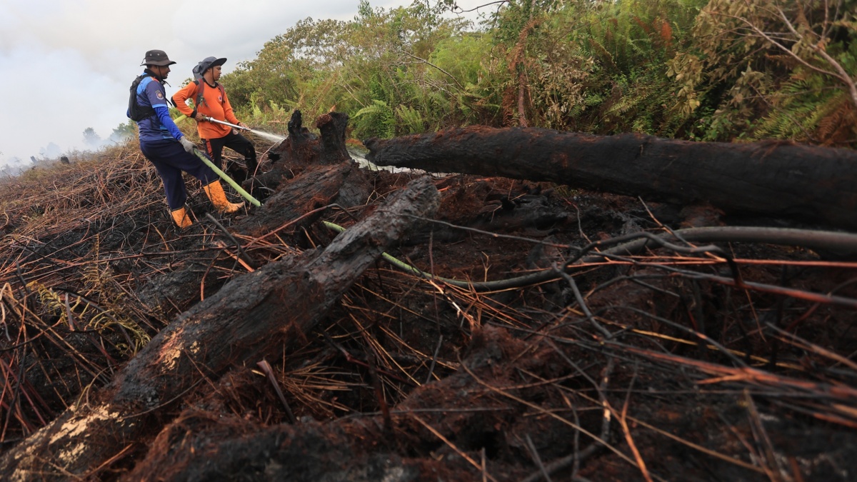 Inpres Larangan Bakar Hutan Segera Terbit, Pemerintah Diminta Libatkan Masyarakat Adat