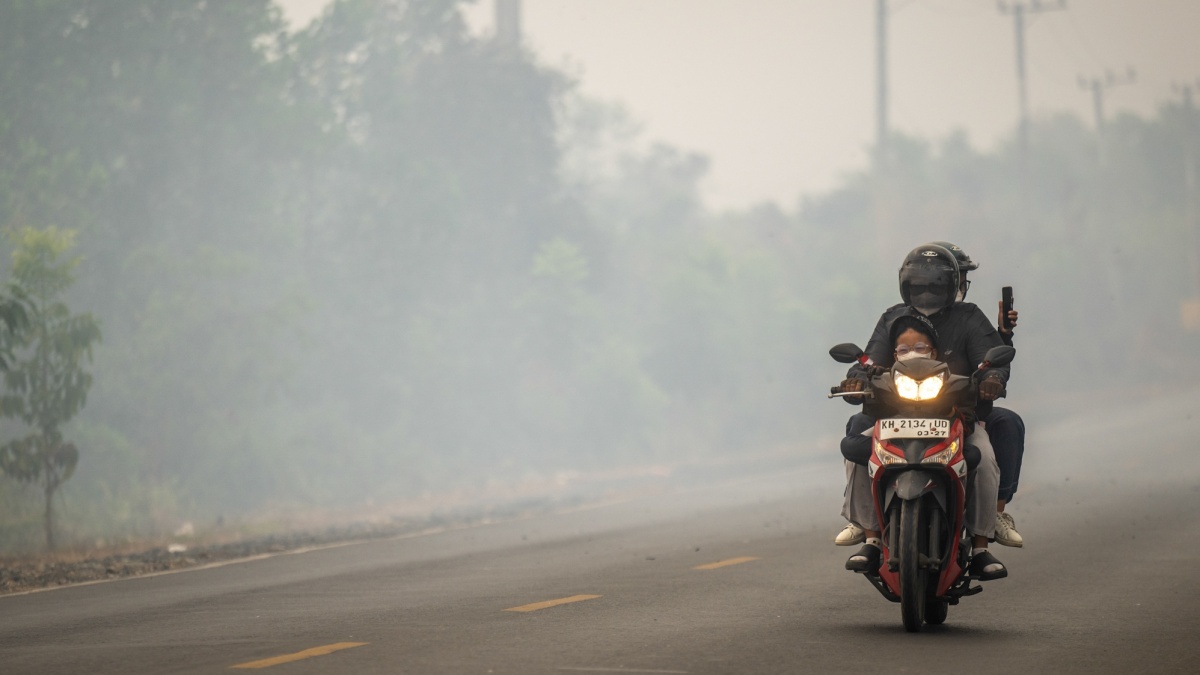 Karhutla Terus Berulang di Kalimantan, Bagaimana Memperkuat Pencegahan dan Pemulihan?