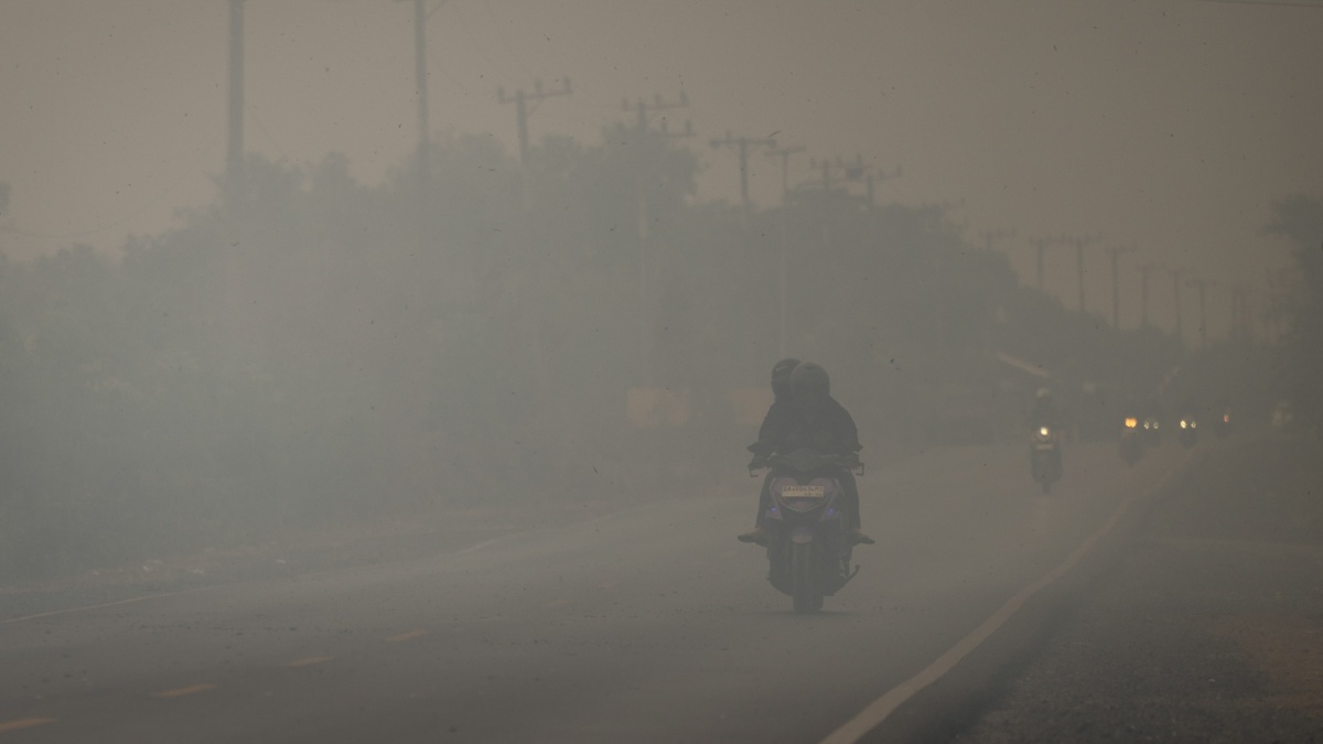 Tragis! Sekolah Tutup karena Kabut Asap, Tiga Kakak Beradik Tewas Kecelakaan Saat Pulang