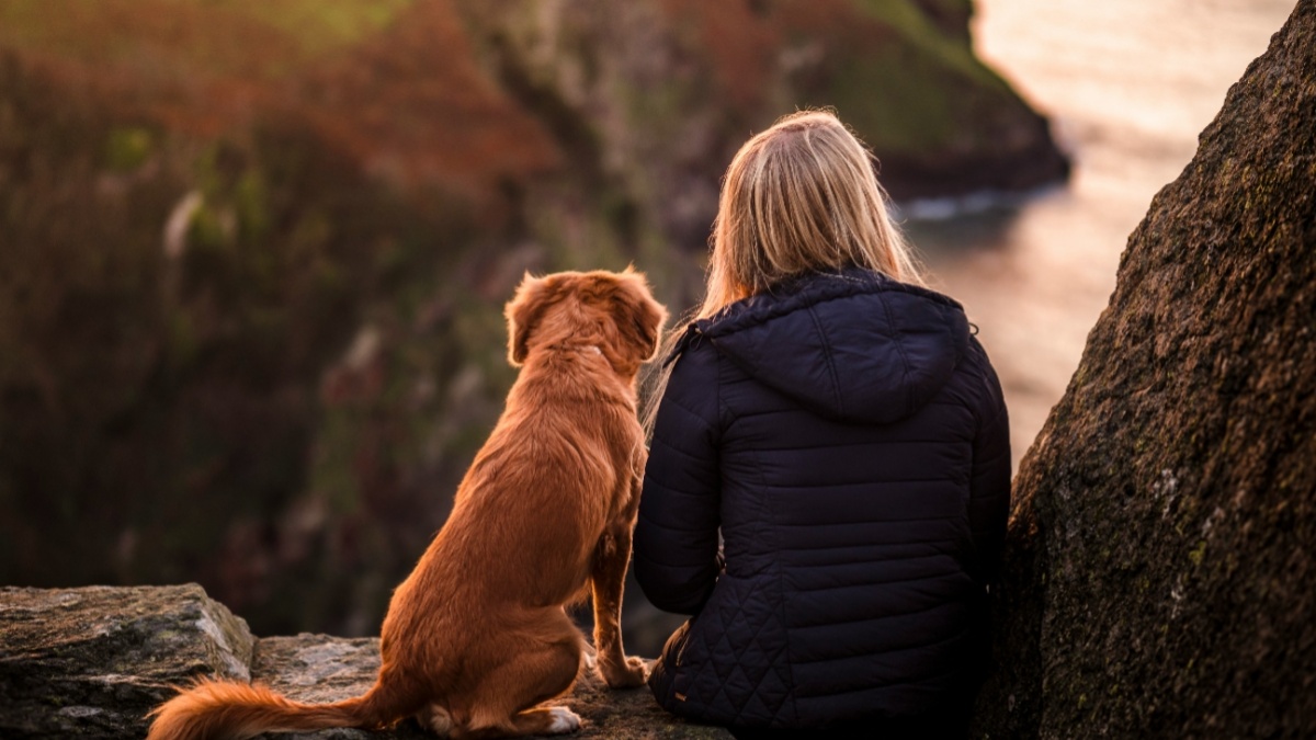 3 Shio yang Paling Tidak Cocok dengan Shio Anjing dalam Bisnis dan Asmara