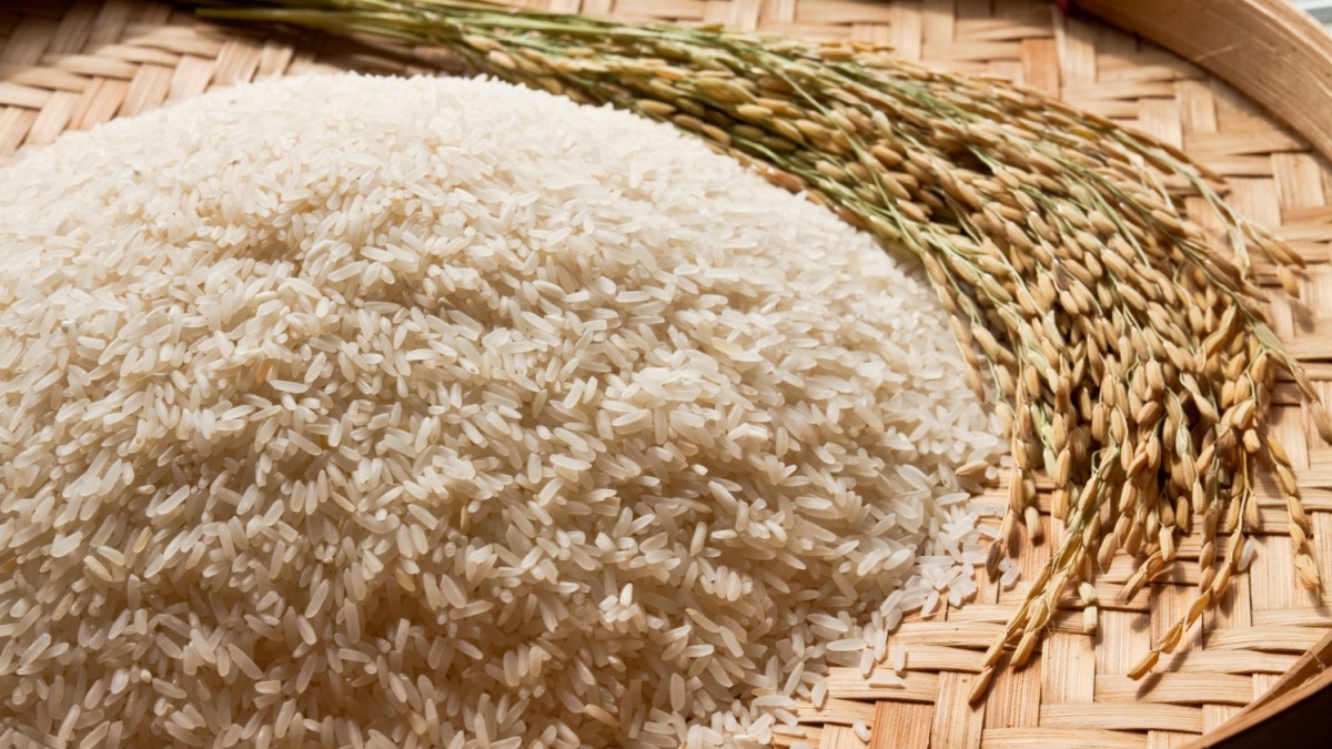 Beras Bervitamin Diduga Bodong, Bapanas Cabut Izin dan Setop Produksi PT DTA