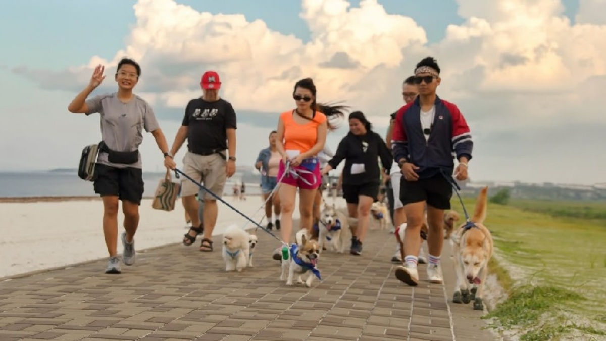 Bukan Sekadar Jalan-Jalan, Komunitas Ini Bikin Tren Baru Akhir Pekan Bareng Anjing Kesayangan