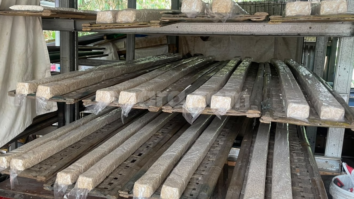 Harga Kedelai Naik, Pengusaha Tempe Terpaksa Kecilkan Ukuran