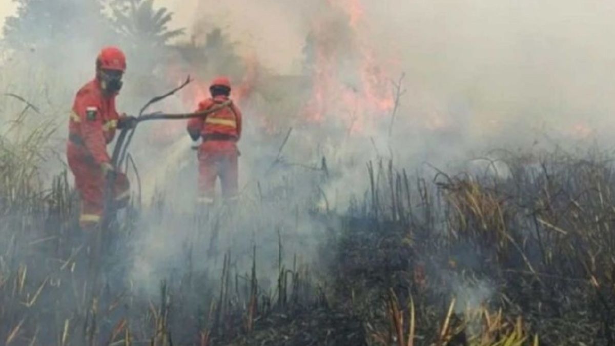 Menlu Malaysia: Jarak Pandang Buruk Lumpuhkan Pemadaman Udara Kebakaran Hutan Indonesia