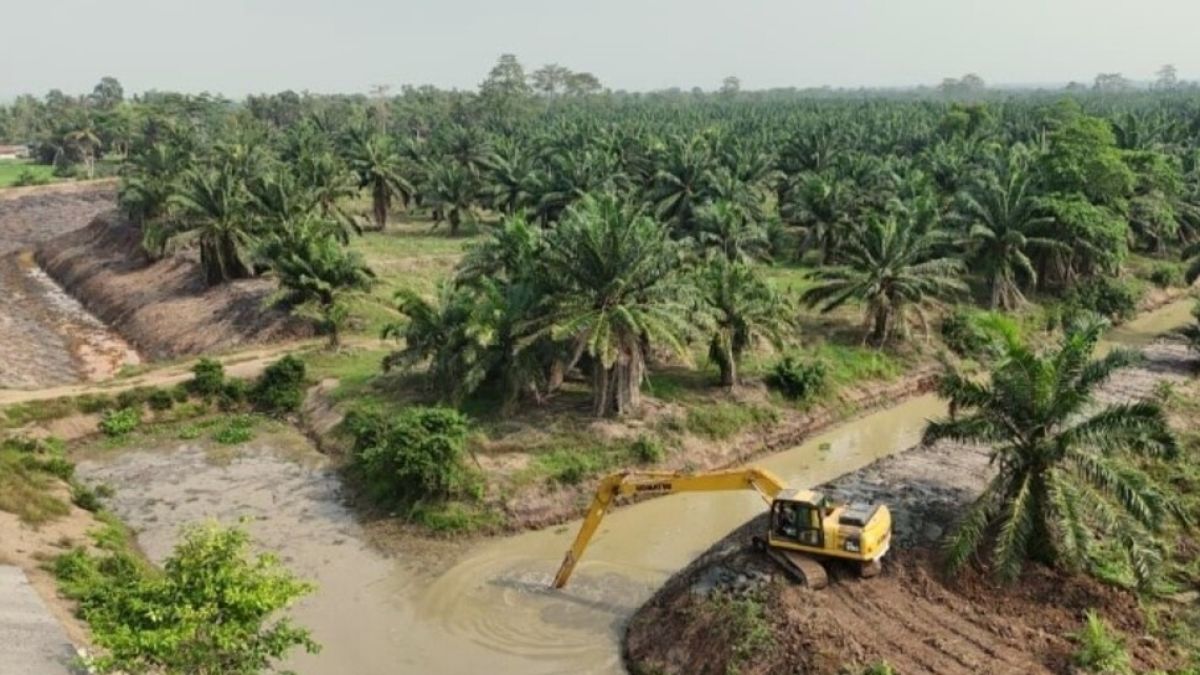 Cegah Gagal Panen, 8000 Hektare Sawah Lampung Diselamatkan dari Ancaman Intrusi Air Laut