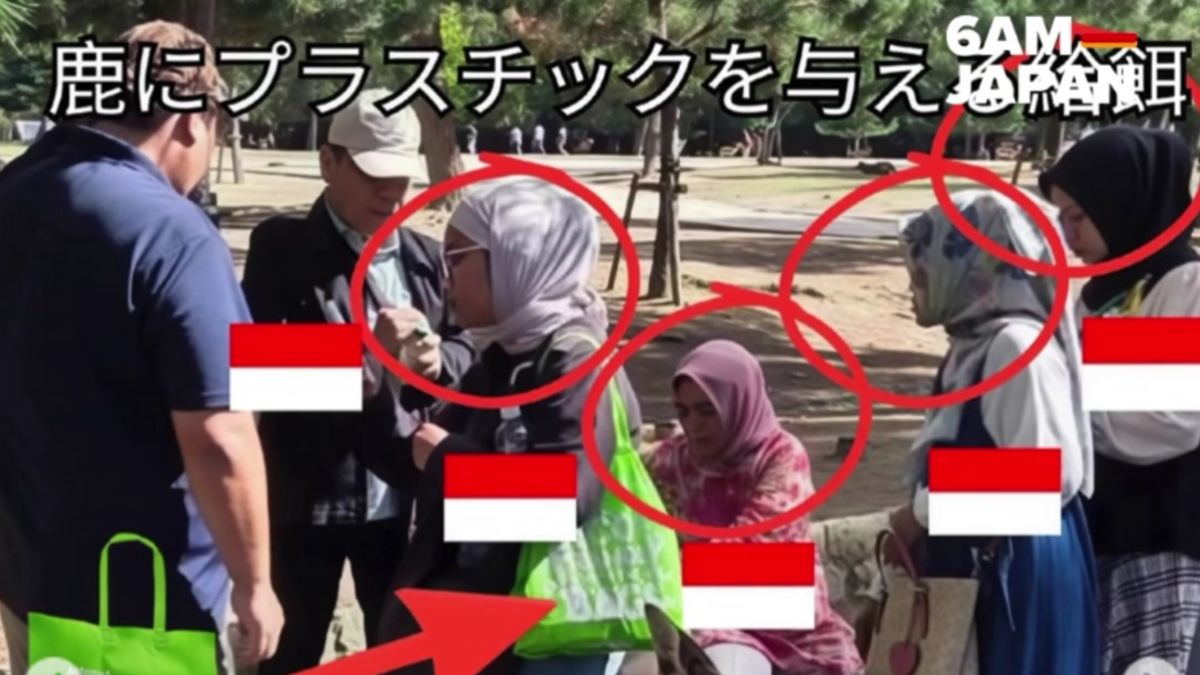 Bikin Malu, Viral WNI Dituduh Kasih Makan Plastik ke Rusa di Nara Park Jepang