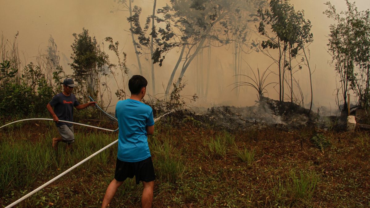 Polri Kerahkan 200 Brimob Tangani Karhutla, Tanjung Puting Jadi Perhatian