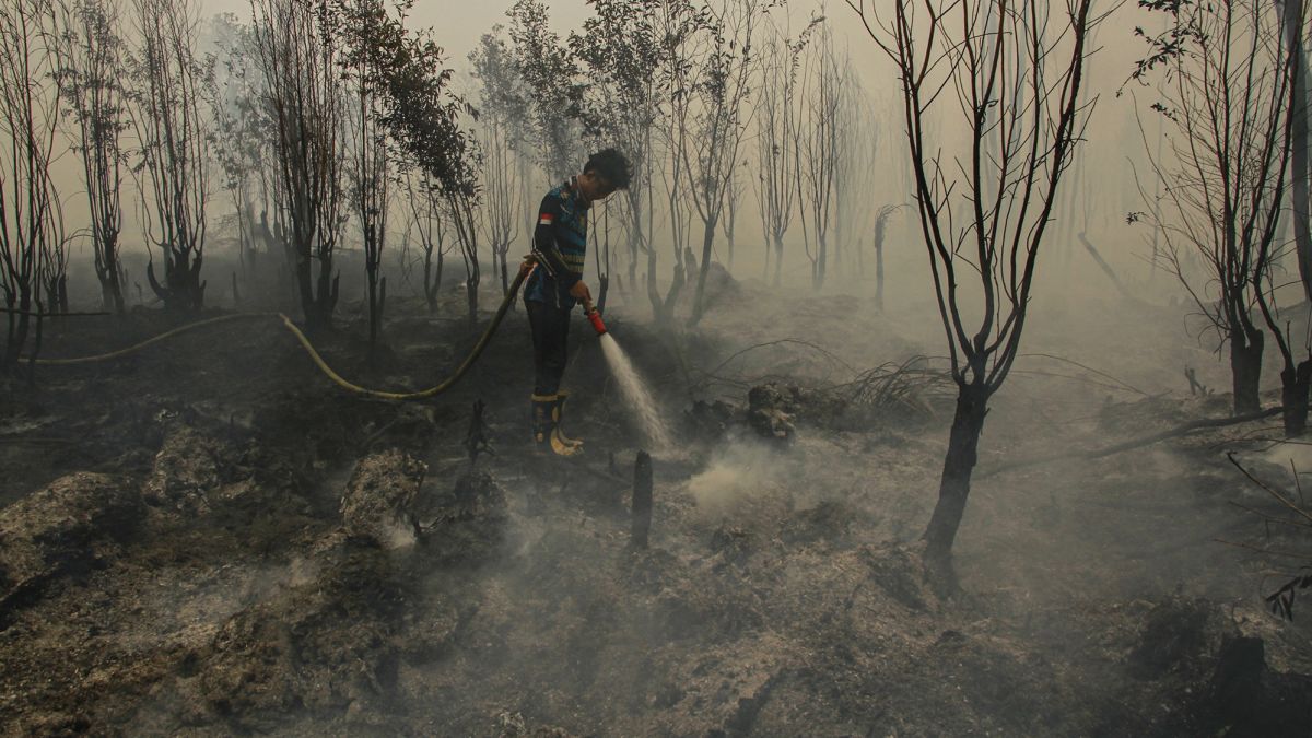 Pakar UGM Desak Penanganan Karhutla Lebih Agresif, Tak Cukup Menunggu Hujan