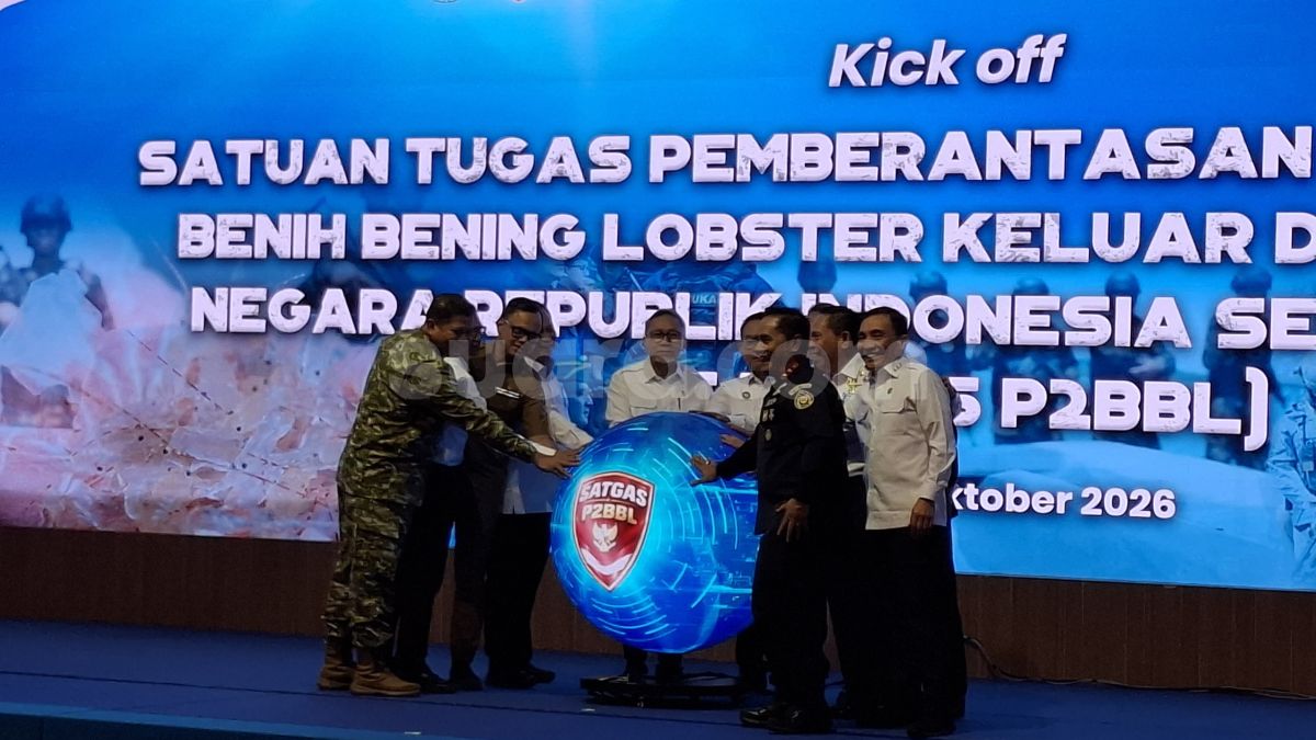 RI Punya 465 Juta Benih Lobster per Tahun, Pemerintah Bentuk Satgas Berantas Penyelundupan