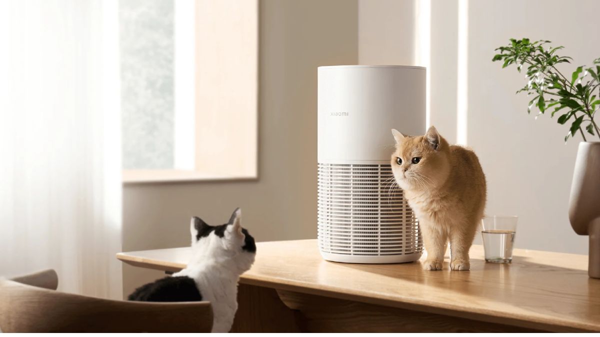 Bebas Bulu dan Bau Kotoran! 3 Air Purifier Khusus Pecinta Kucing, Mulai Rp1 Jutaan