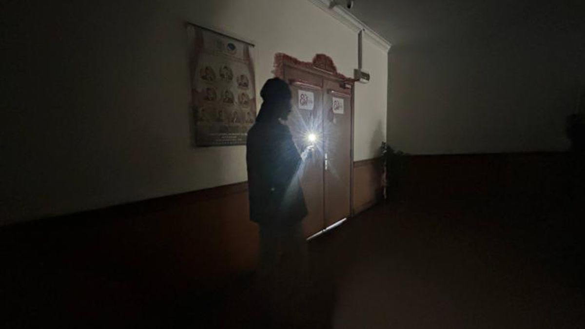 Buntut Blackout Batam-Bintan, Bukti Rambut Kera di Trafo Seret 5 Orang Jadi Tersangka