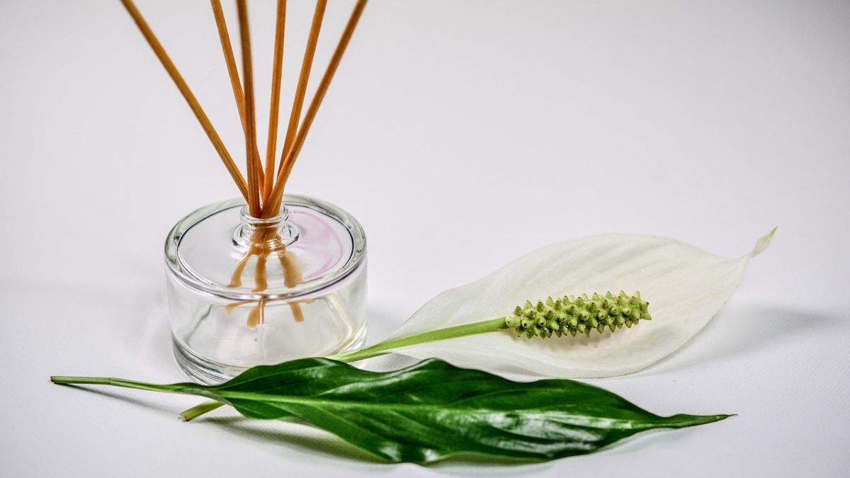 Bikin Betah di Rumah, 7 Rekomendasi Reed Diffuser dengan Aroma Rileks
