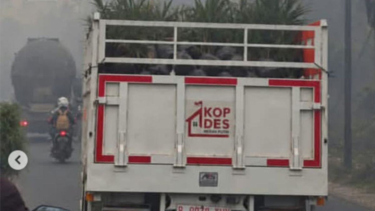 Viral Truk Kopdes Angkut Bibit Sawit Lewat Kabut Asap Kebakaran Hutan