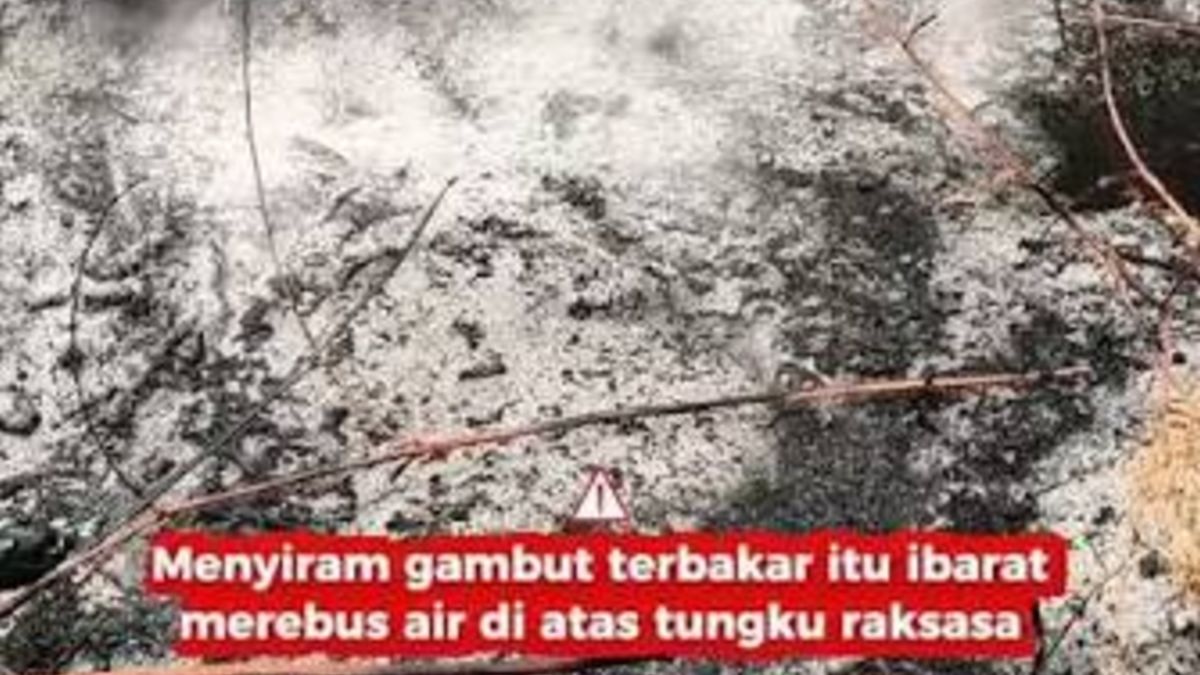 Viral Fenomena Aneh Tanah Gambut Mendidih Usai Disiram Air Saat Pemadaman Kebakaran Hutan