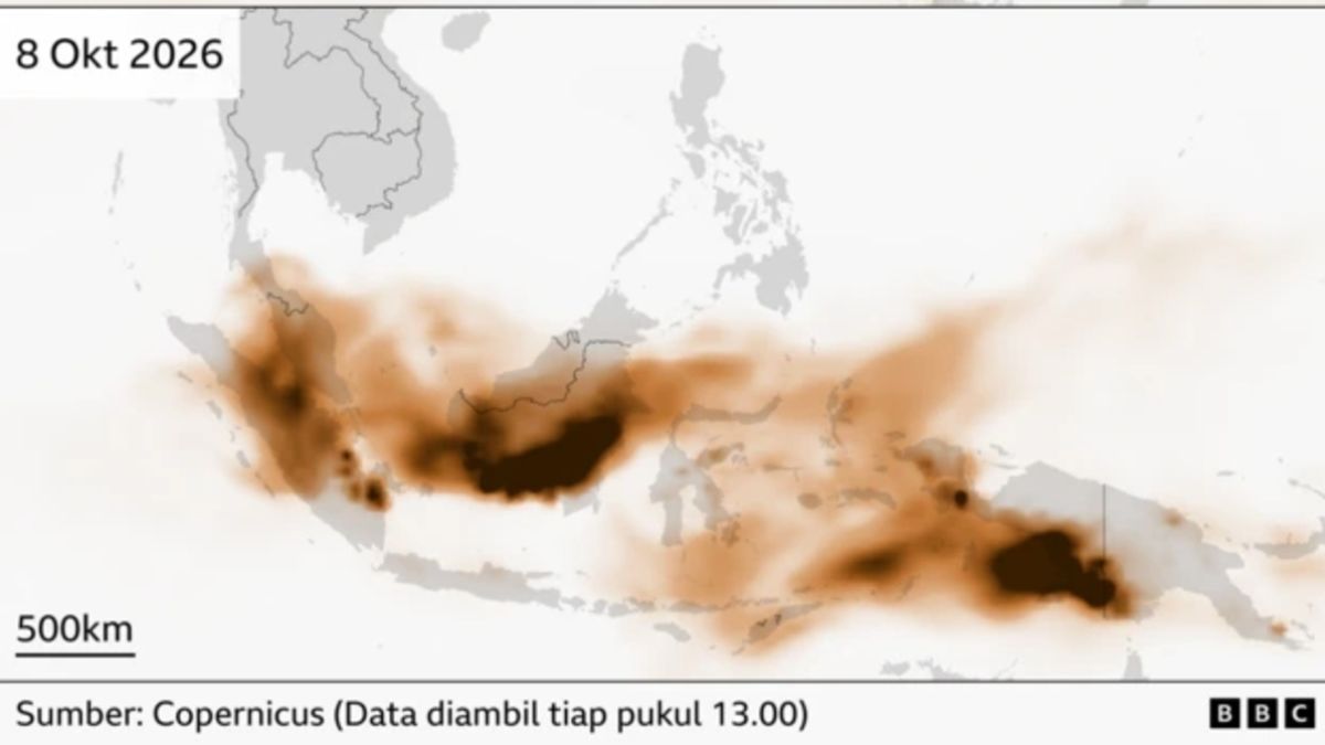 Media Inggris Ingatkan Kebakaran Hutan Bukan Cuma di Kalimantan, Papua Juga Parah
