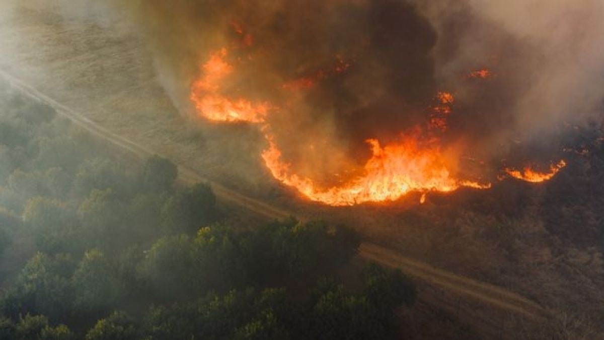Karhutla Ganggu Kesehatan Warga, FKUI Dorong Pemerintah Hentikan Pembakaran Hutan dan Tegakkan Hukum